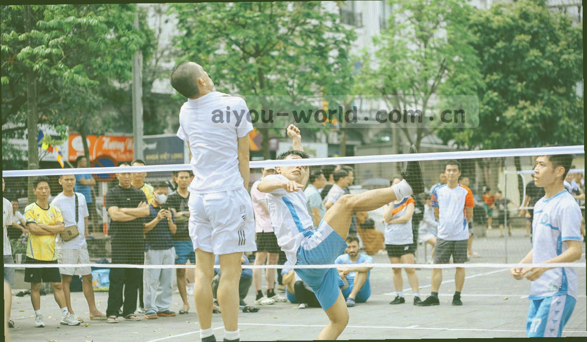 下载资料与人工咨询两个舷窗式入口并列展开的抽象图形